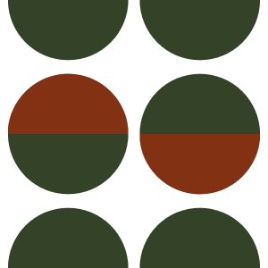 Funcionalidade com estética